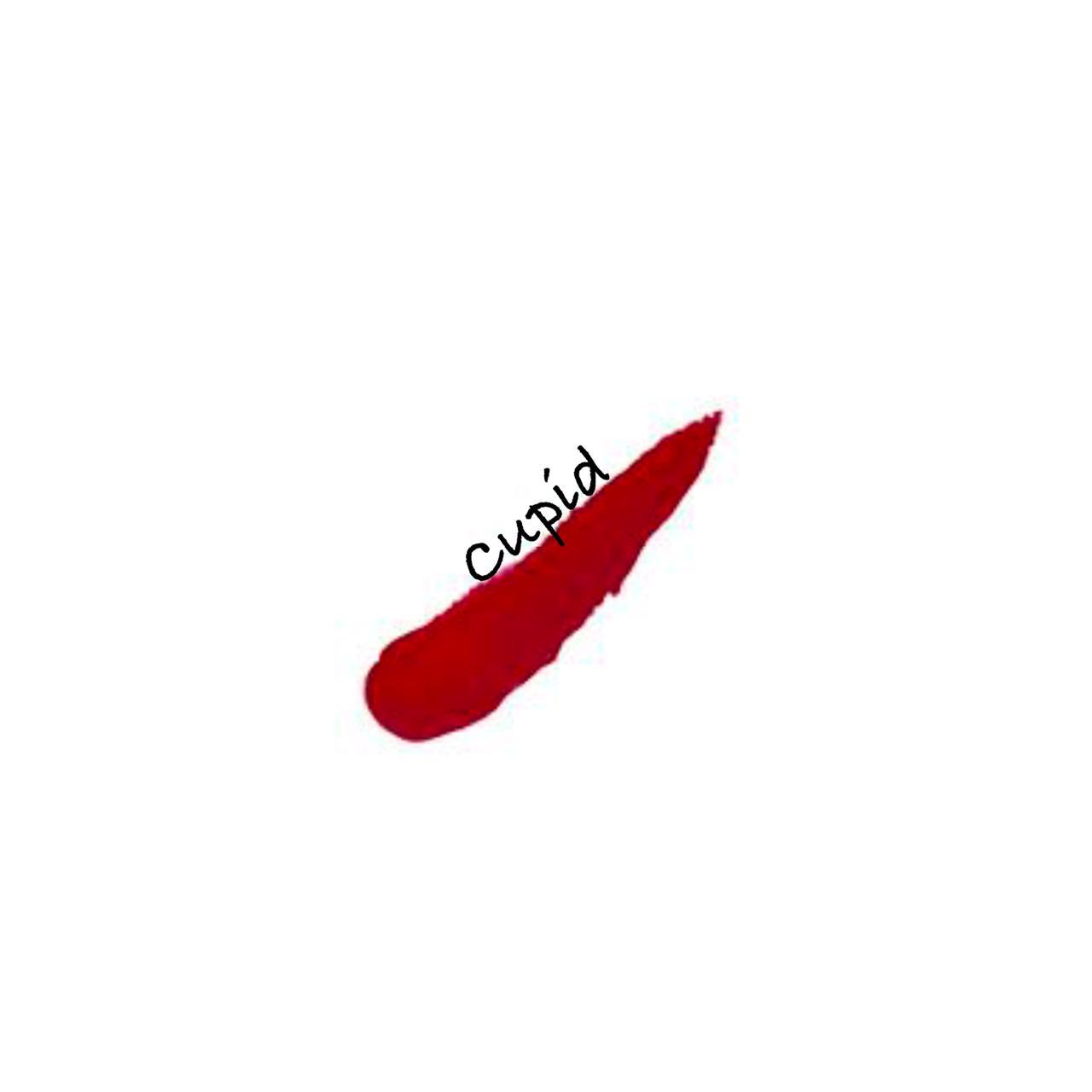 Matte Liquid Lipstick